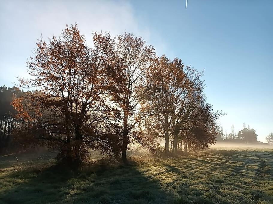 Gite Aux Bois D'En Temps Lunas  Exteriör bild