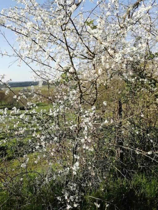Gite Aux Bois D'En Temps Lunas  Exteriör bild