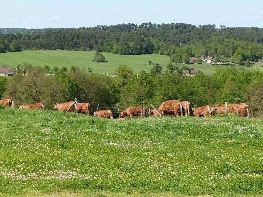 Gite Aux Bois D'En Temps Lunas  Exteriör bild