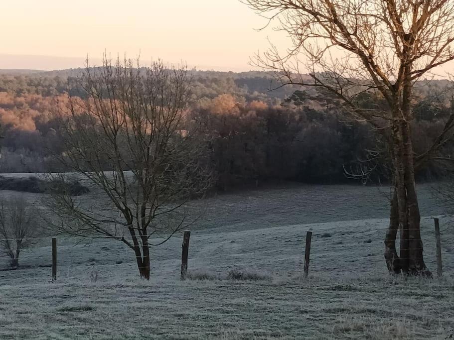 Gite Aux Bois D'En Temps Lunas  Exteriör bild