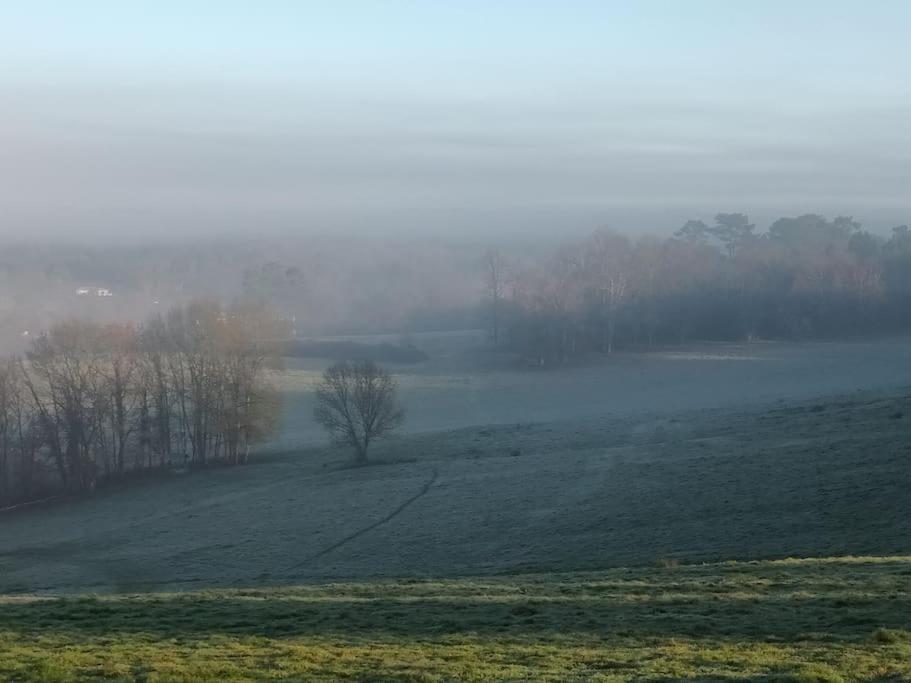 Gite Aux Bois D'En Temps Lunas  Exteriör bild