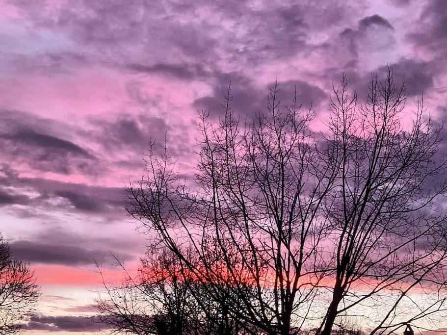 Gite Aux Bois D'En Temps Lunas  Exteriör bild