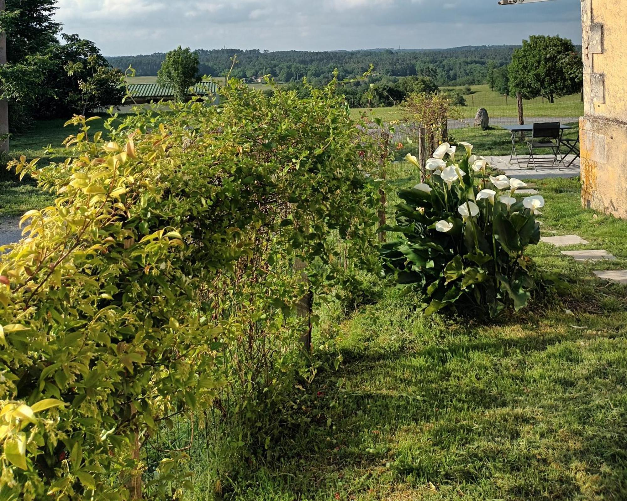Gite Aux Bois D'En Temps Lunas  Rum bild